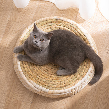 House Cat Bed
