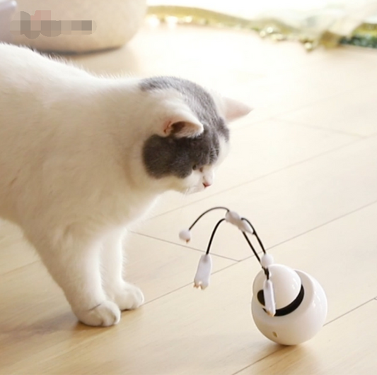Funny cat toy - Robot